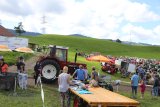 Traktoren Oldtimertreffen