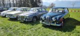 Oldtimer Treffen Hasenstrick 2022