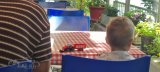 2. Oldtimer-Traktoren- und Einachser-Treffen in Adligenswil