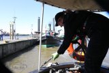 Hamburg Hafengeburtstag 2026