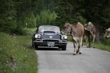 Arlberg Classic Car Rallye