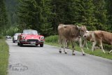 Arlberg Classic Car Rallye