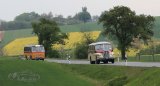 Europ&auml;isches Oldtimer-Bus Treffen Sinsheim
