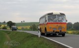 Europ&auml;isches Oldtimer-Bus Treffen Sinsheim