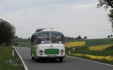 Europ&auml;isches Oldtimer-Bus Treffen Sinsheim