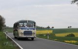Europ&auml;isches Oldtimer-Bus Treffen Sinsheim