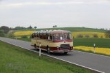 Europ&auml;isches Oldtimer-Bus Treffen Sinsheim