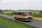 Europ&auml;isches Oldtimer-Bus Treffen Sinsheim