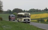 Europ&auml;isches Oldtimer-Bus Treffen Sinsheim