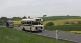Europ&auml;isches Oldtimer-Bus Treffen Sinsheim