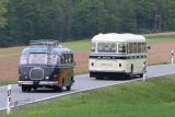 Europ&auml;isches Oldtimer-Bus Treffen Sinsheim