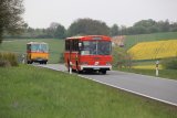 Europ&auml;isches Oldtimer-Bus Treffen Sinsheim