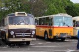 Europ&auml;isches Oldtimer-Bus Treffen Sinsheim