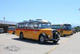 Bus- & LKW-Treffen Hinwil