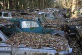 Autofriedhof Gürbetal