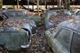 Autofriedhof Gürbetal