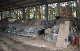 Autofriedhof Gürbetal