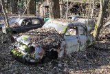 Autofriedhof Gürbetal