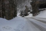 Rallye Monte-Carlo Historique