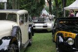 Festival Automobile Mulhouse