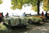 Swiss Classic British Car Meeting Morges