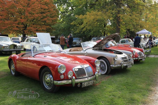 British Car Meeting Morges 2015