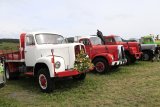 Int. Landmaschinen Oldtimer-Treffen Effingen