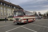 Europatreffen historischer Omnibusse Sinsheim 2023