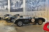 Pantheon Muttenz - Lotus und Jaguar 2023
