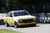 Oldtimer GP Brugger Schachen