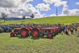 Traktoren Oldtimertreffen