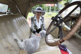 47. Oldtimer-Meeting Baden-Baden