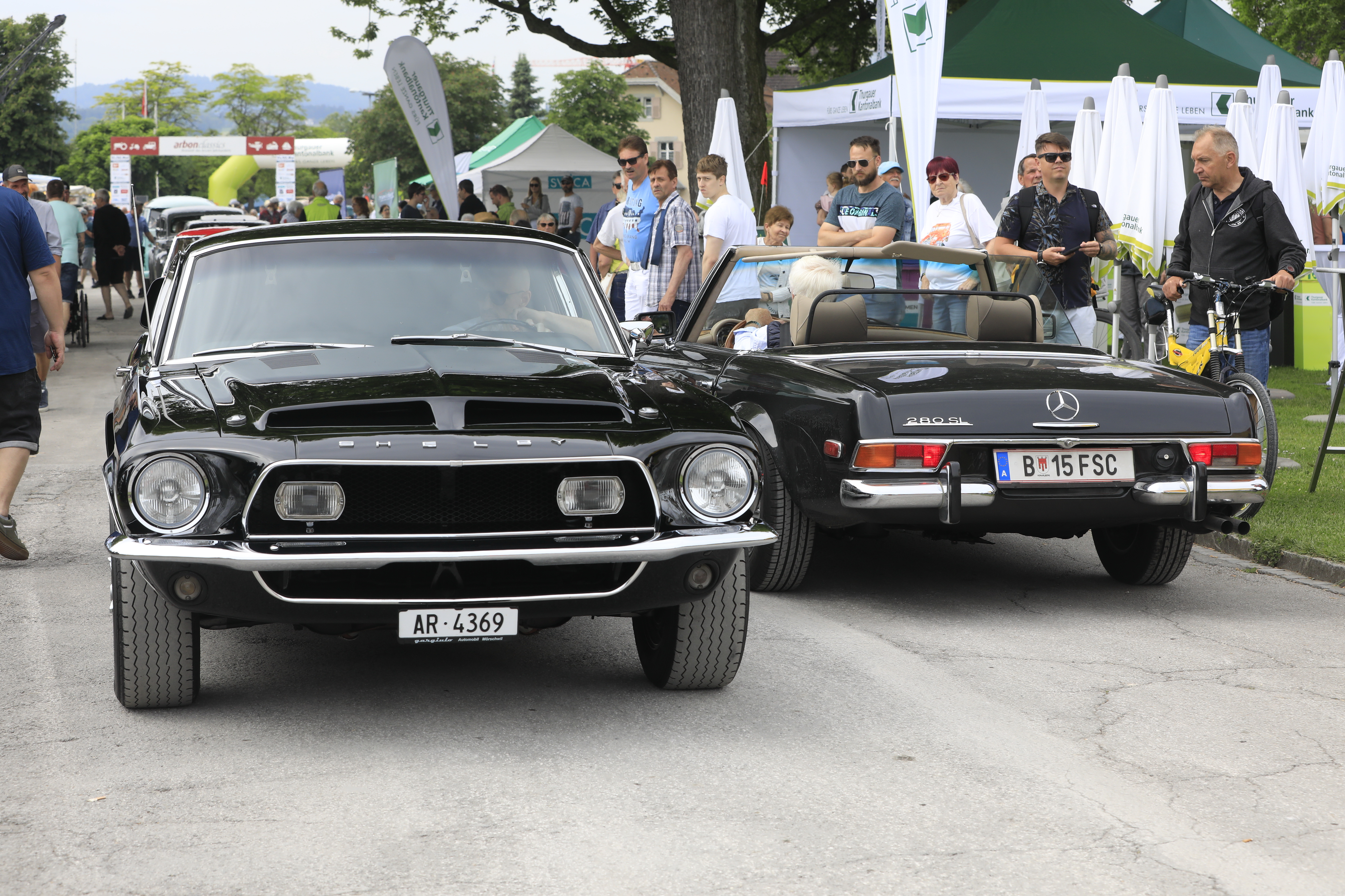 Shelby und Mercedes Oldies